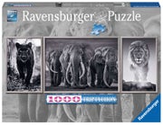 Palapeli Panter, Elefanten, L&ouml;we 1000p
