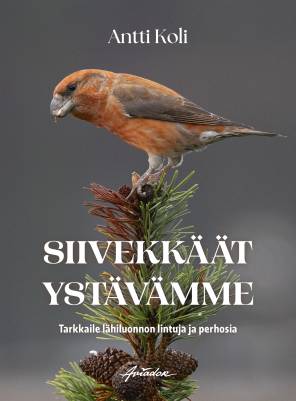 Siivekk&auml;&auml;t yst&auml;v&auml;mme
