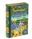 Kirjapalapeli 252 palaa  The Wonderful Wizard of Oz